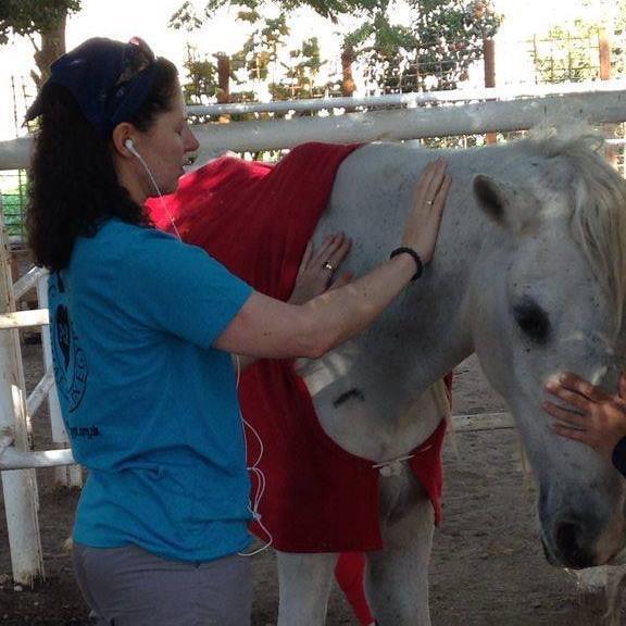 This is me giving Angelic Reiki to a wonderful horse who was very ill but refusing to lay down and pass.
About 15 minutes or so after doing the Angelic Reiki she laid down and I was with her when she passed.
I feel very humble that she allowed me that opportunity.